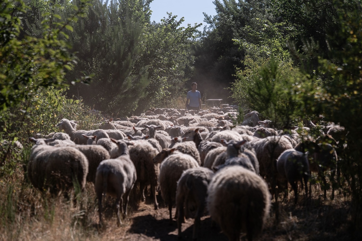 “Een drukke dag met een lege agenda”